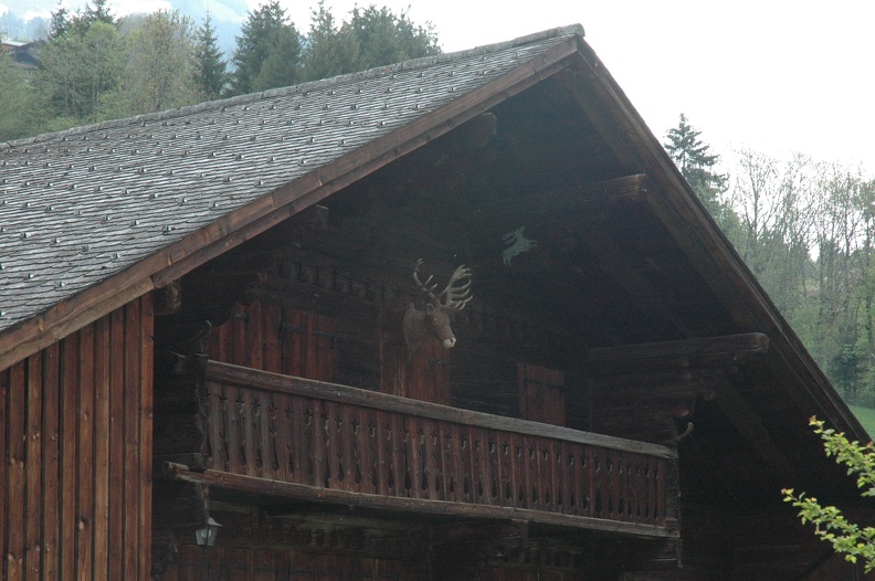 DSC_9453.JPG
