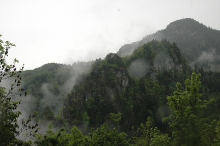 DSC 8167