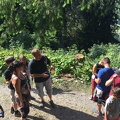 IMG 3555