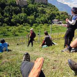 2025-04-27 Field Sion